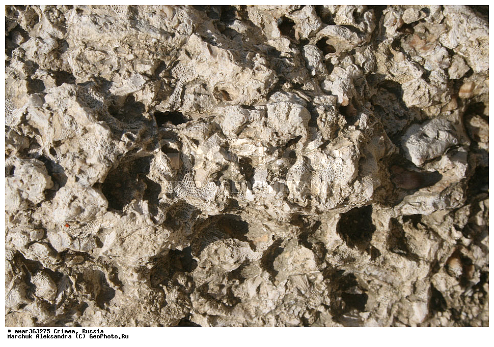 �������� ����������, ����, ������, �������������