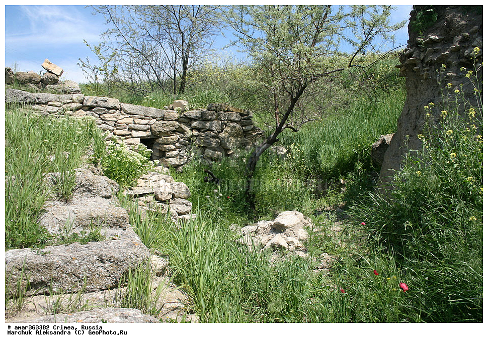 �������� ����������, ����, ������, �����, �������� ����������