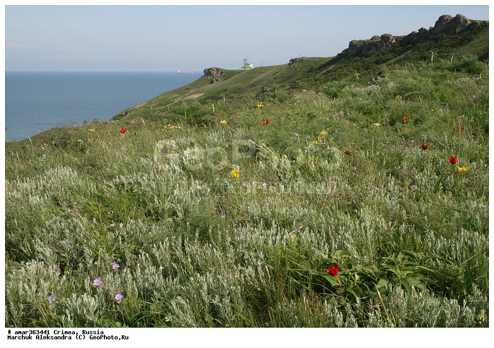 �������� ����������, ����, ������, �����, �������� ����������