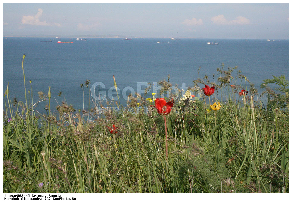 �������� ����������, ����, ������, �����, �������� ����������