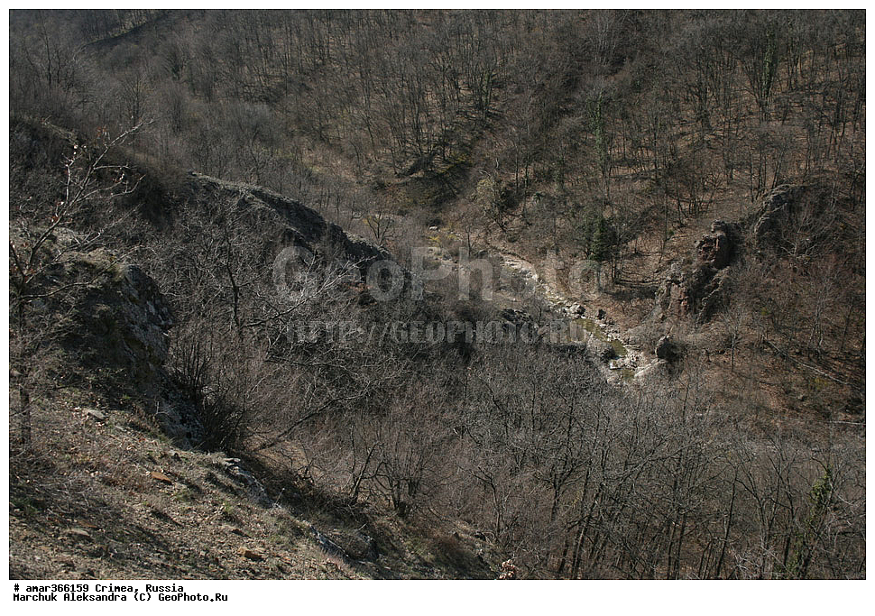  �������� ����������, ����, ������, ������, �������