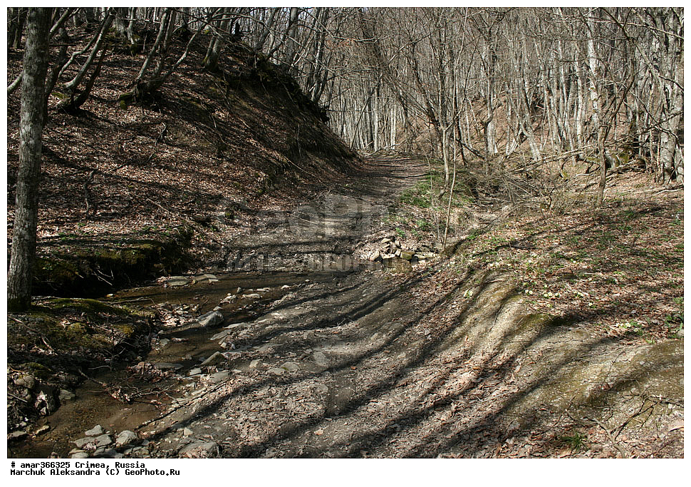  �������� ����������, ����, ������, ������, �������