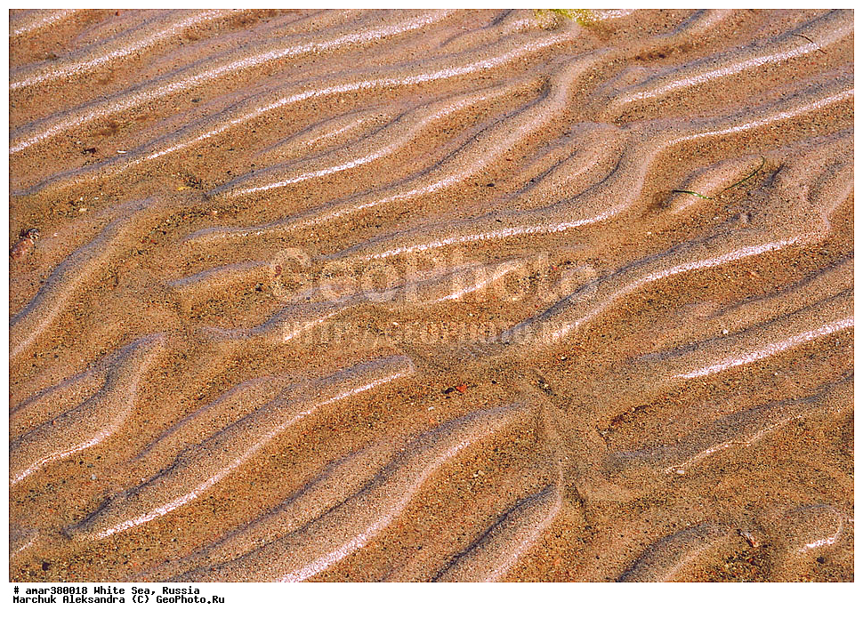  ������������� �������, �������, ��������� �����, ����, ����� ����, ������