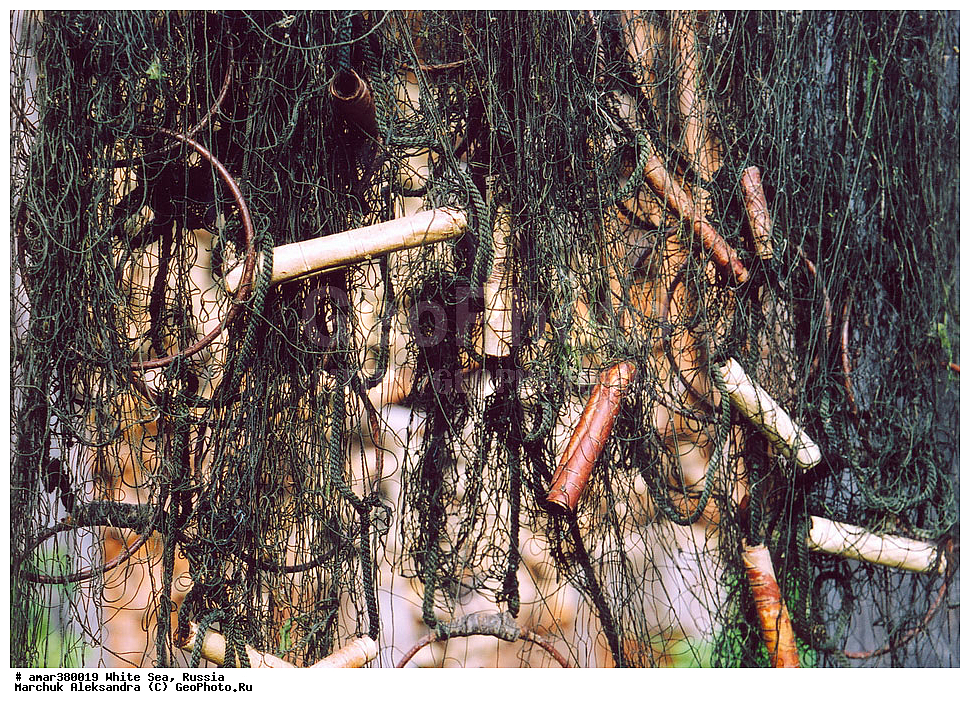  ������������� �������, �������, ��������� �����, ����, ����� ����, ������