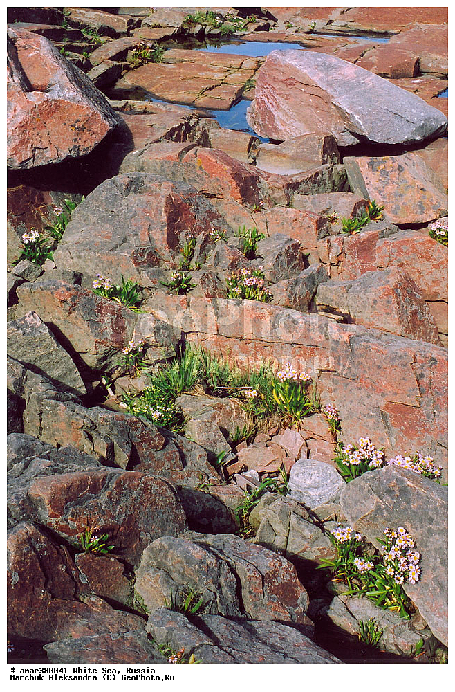  ������������� �������, �������, ��������� �����, ����, ����� ����, ������