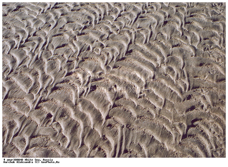  ������������� �������, �������, ��������� �����, ����, ����� ����, ������