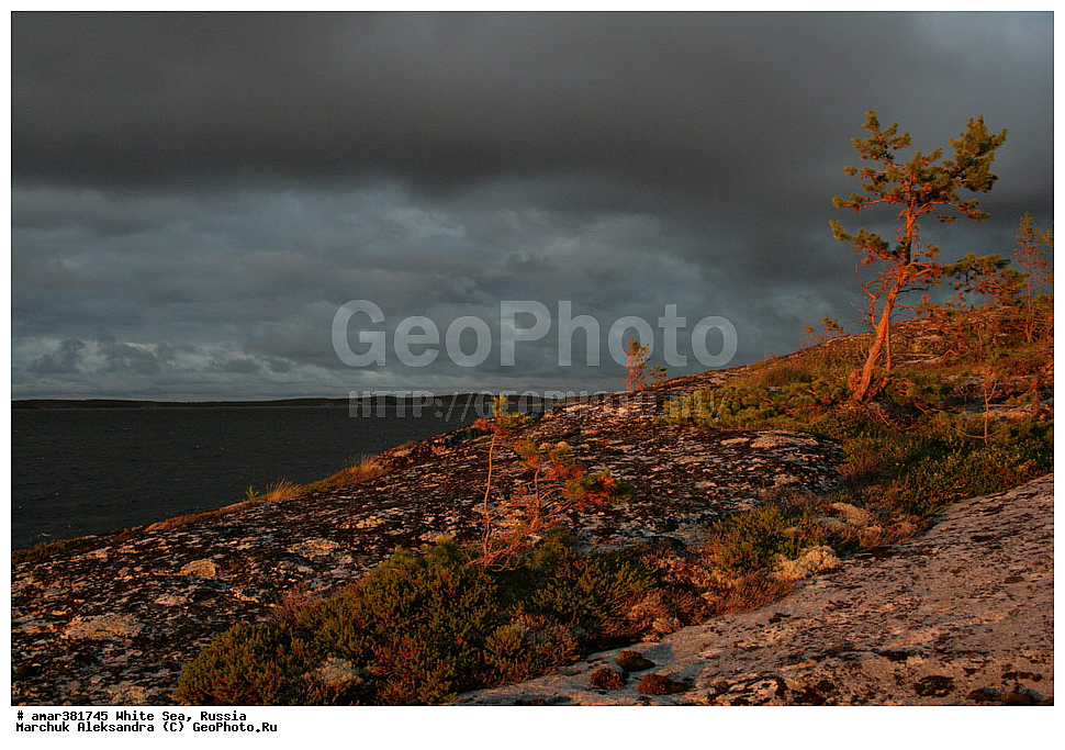  ������������� �������, �������, ��������� �����, ����, ����� ����, ������