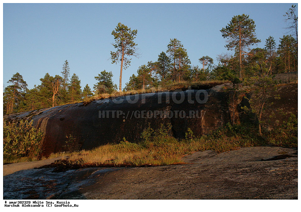  ������������� �������, �������, ��������� �����, ����, ����� ����, ������