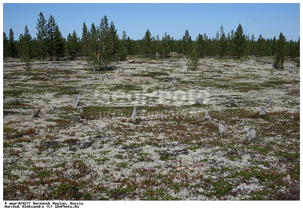 ���������� �������, �����, ��������, ������, ������