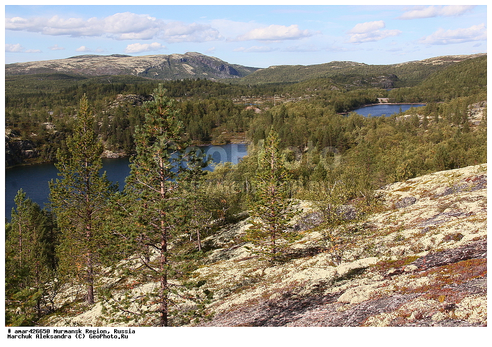  ���������� �������, �����, �������, ����������, ������