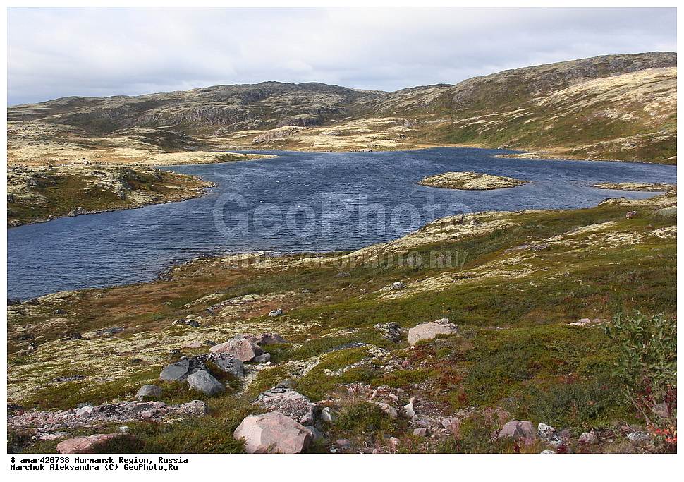  ���������� �������, �����, �������, ����������, ������