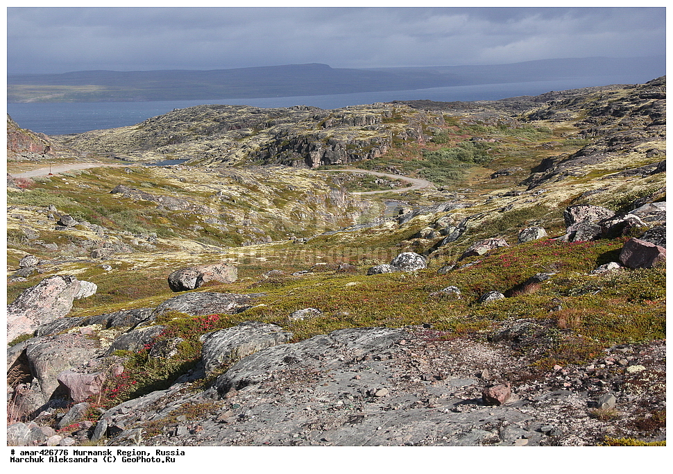  ���������� �������, �����, �������, ����������, ������