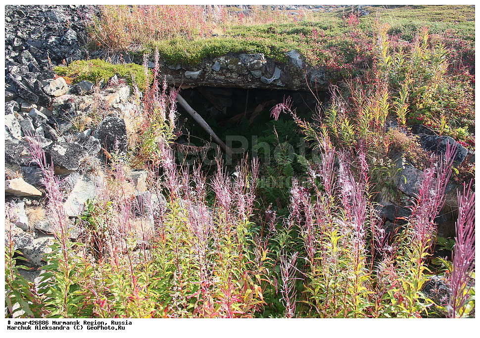  ���������� �������, �����, �������, ����������, ������