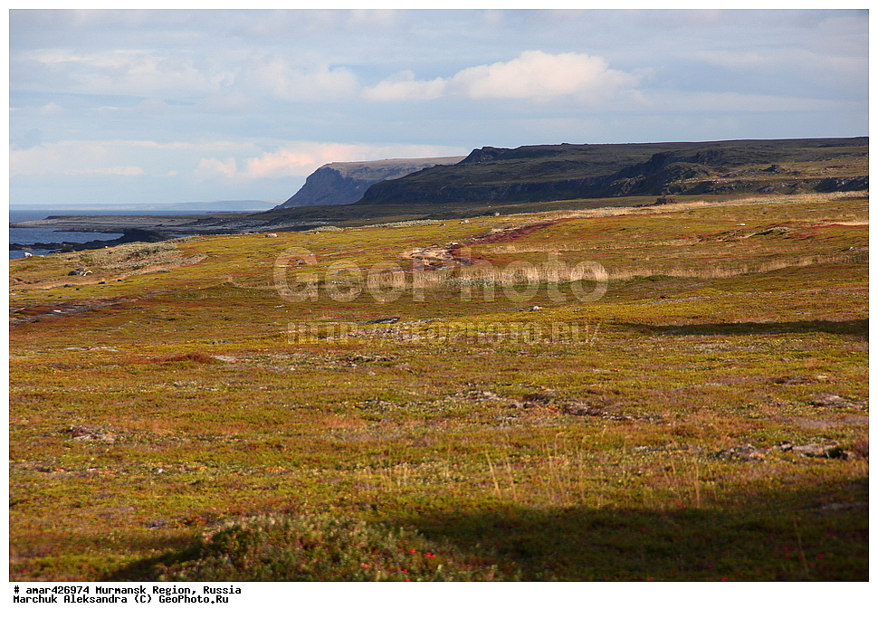  ���������� �������, �����, �������, ����������, ������