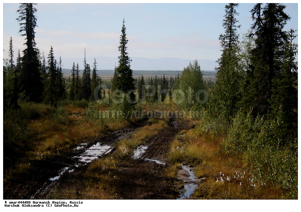 ���������� �������, �����, ������ ������, ������, ��������, ��������, ������