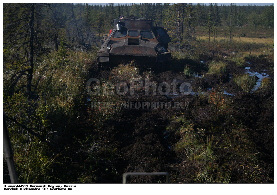 ���������� �������, �����, ������ ������, ������, ��������, ��������, ������