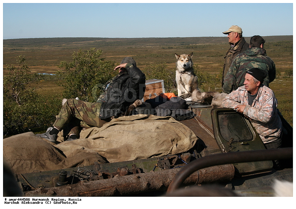 ���������� �������, �����, ������ ������, ������, ��������, ��������, ������