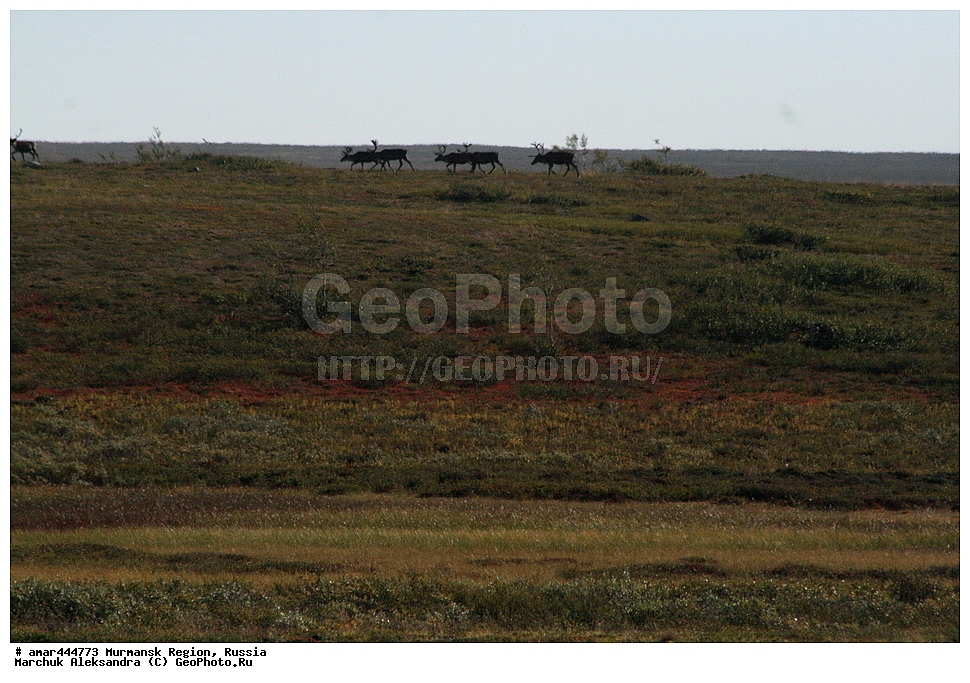  ���������� �������, �����, �������������� �������, ������, ��������, ��������, ������