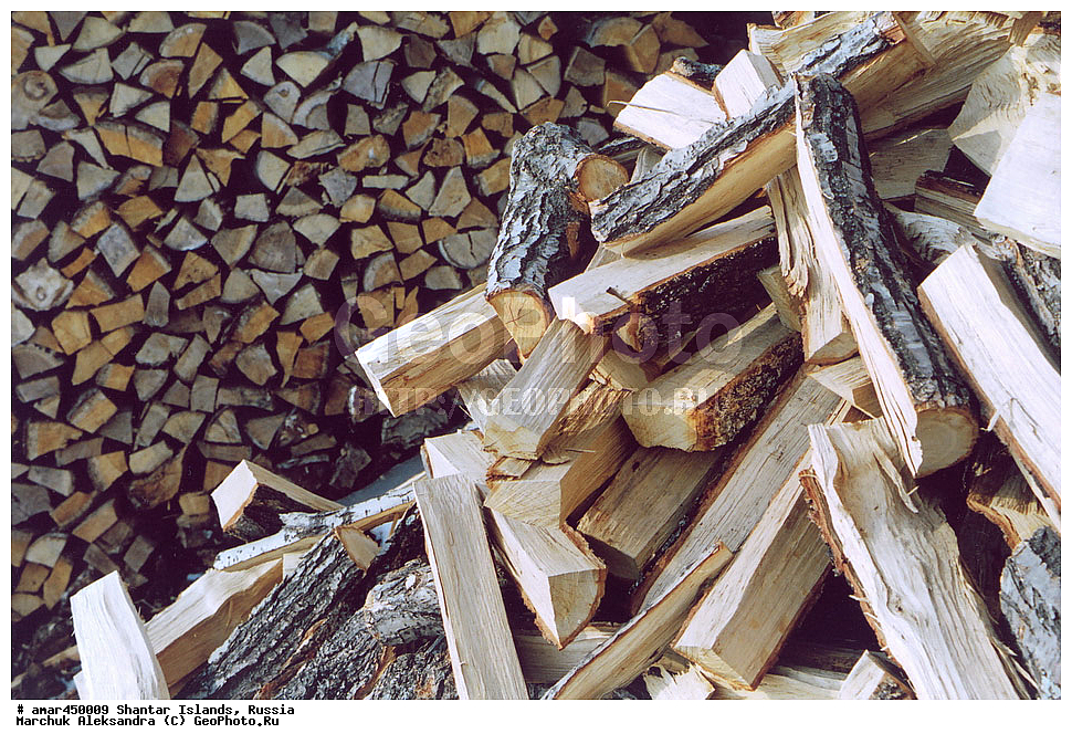  ����������� ����, �������� ����, ���������� �������, �������, �����, ������, �����