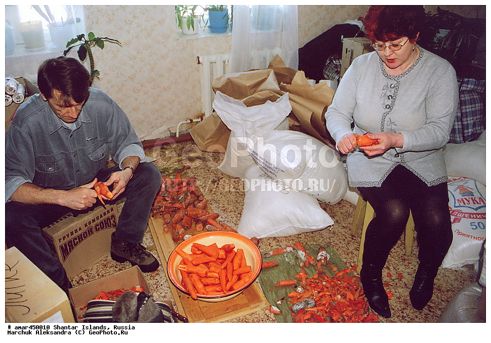  ����������� ����, �������� ����, ���������� �������, �������, �����, ������, �����