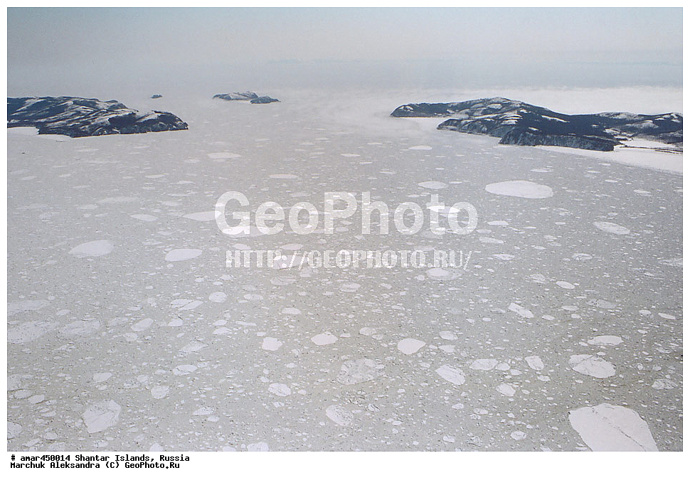  ����������� ����, �������� ����, ���������� �������, �������, �����, ������, �����