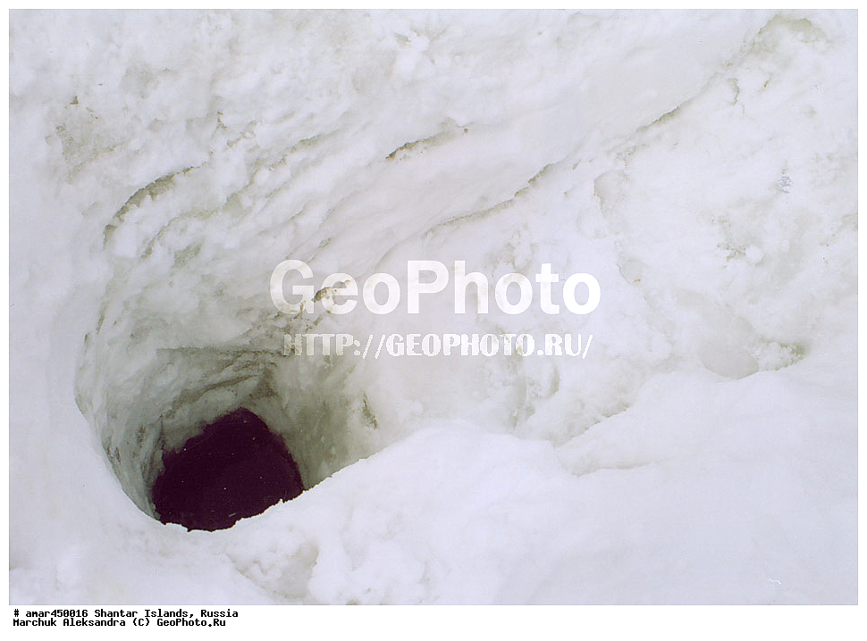  ����������� ����, �������� ����, ���������� �������, �������, �����, ������, �����