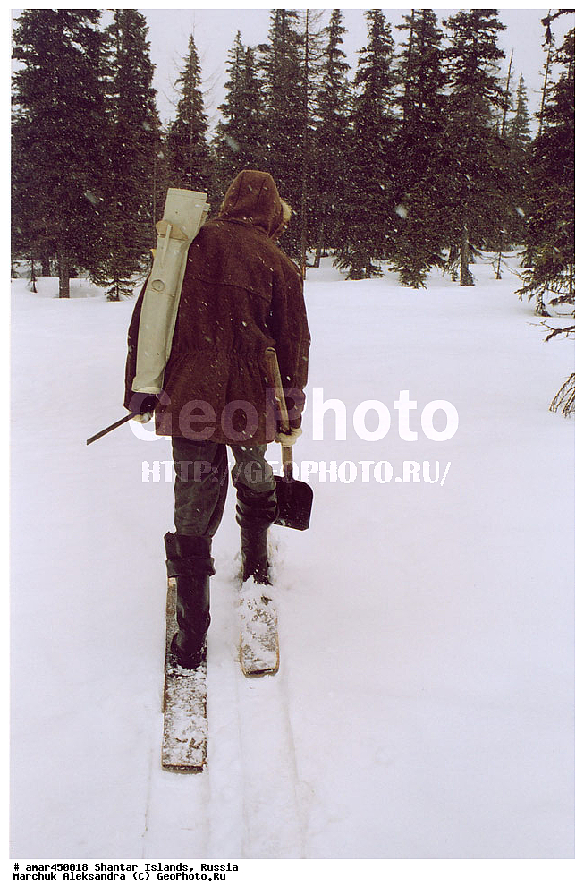  ����������� ����, �������� ����, ���������� �������, �������, �����, ������, �����