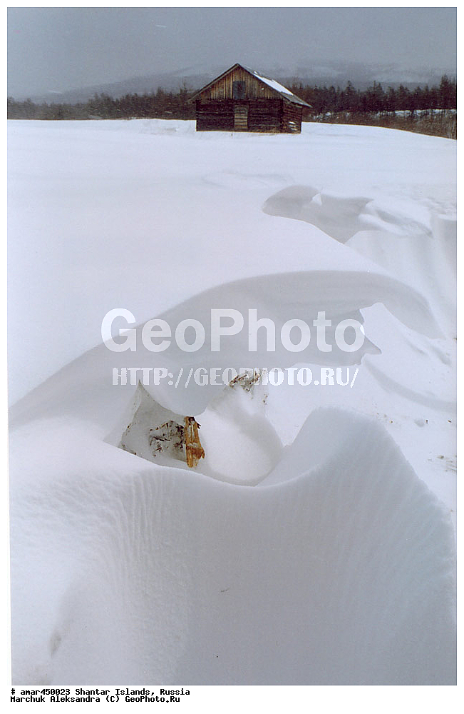  ����������� ����, �������� ����, ���������� �������, �������, �����, ������, �����