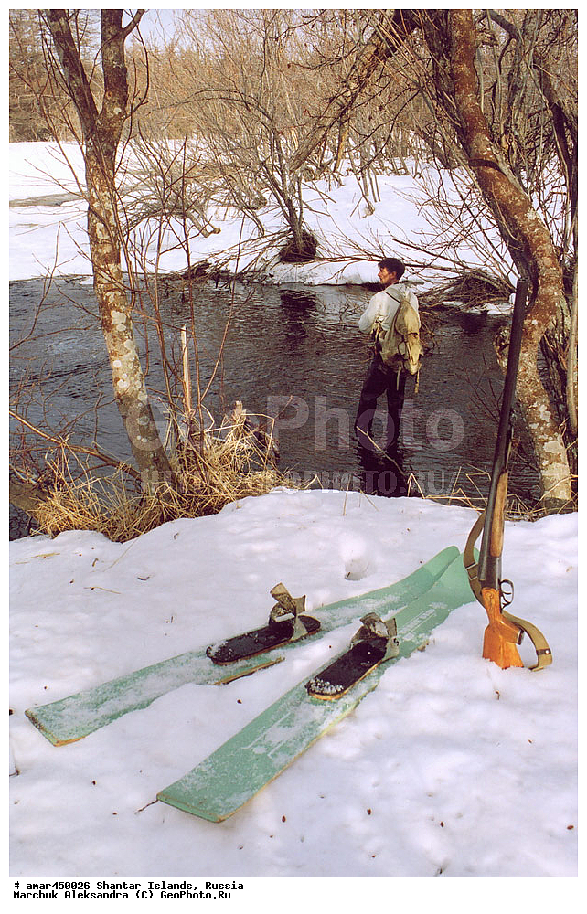  ����������� ����, �������� ����, ���������� �������, �������, �����, ������, �����