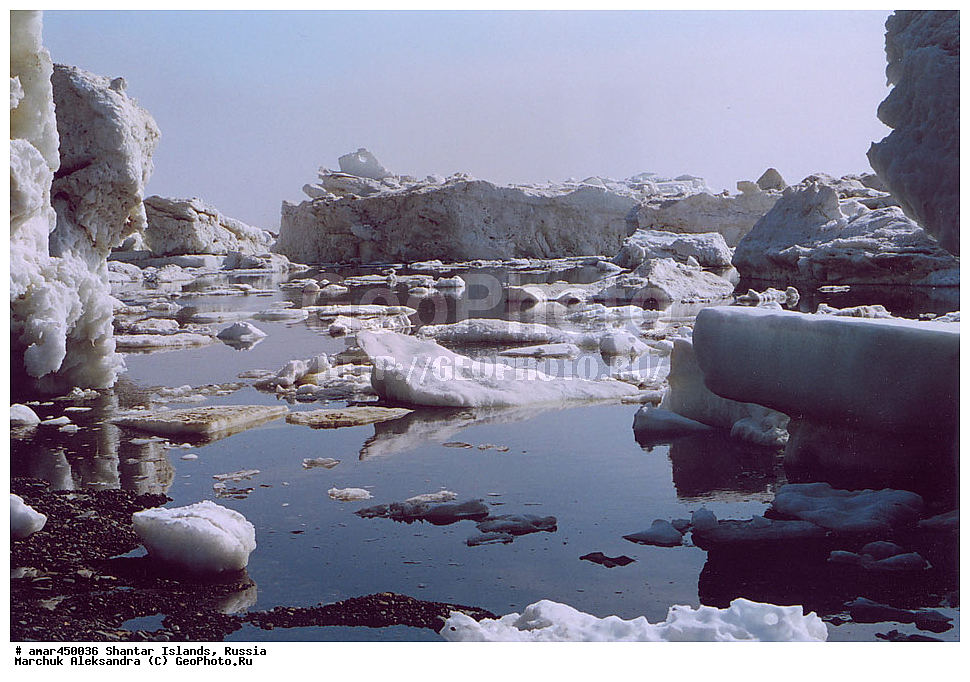  ����������� ����, �������� ����, ���������� �������, �������, �����, ������, �����