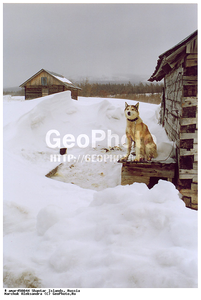  ����������� ����, �������� ����, ���������� �������, �������, �����, ������, �����