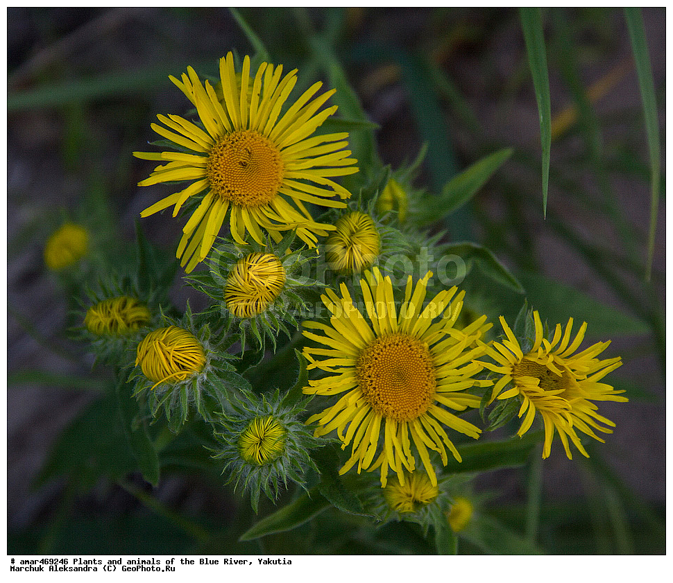 ����, ������, ����, �����, ������, �������, ����, ���� ����, ���� �����, ���� �����, ������