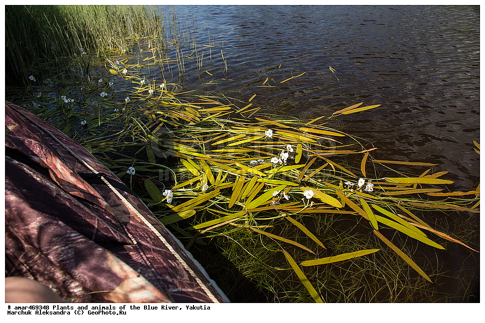 ����, ������, ����, �����, ������, ������� �����, ����, �����, ��������� ����, ��������, ���� ����, ���� �����, ���� �����, ������ ��������, ������, ����� �� ����