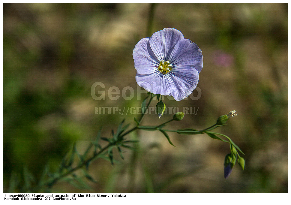 ����, ������, ����, �����, ������, ���, ������ ������, ����, ��������� ����, ��������, ���� ����, ���� �����, ���� �����, ������