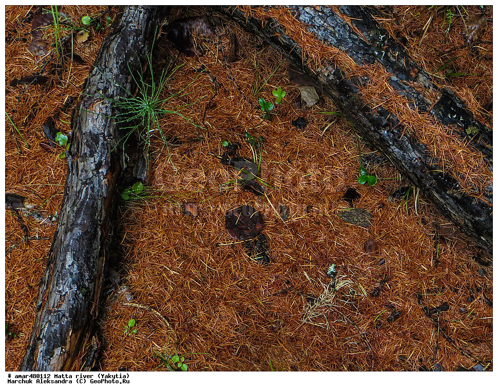 ������ ����, ����, �����, ������, ����, �����, ������, ������ ������, ����, �����������, ��������� ����, ��������, ���� ����, ���� �����, ���� �����, ���� �����, ����