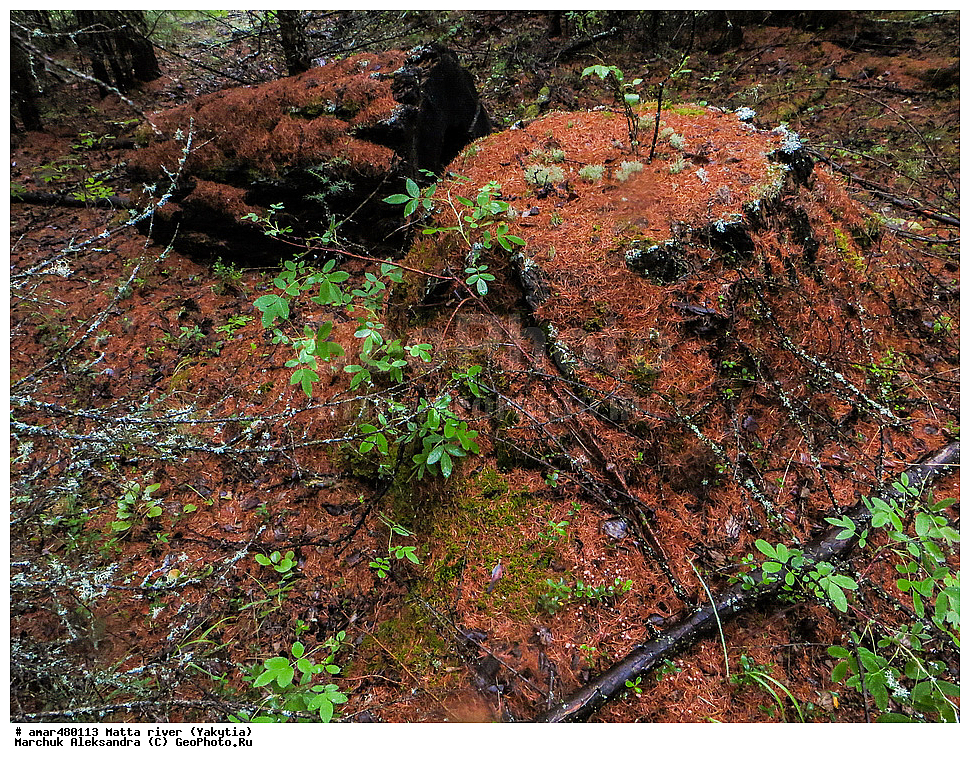 ������ ����, ����, �����, ������, ����, �����, ������, ������ ������, ����, �����������, ��������� ����, ��������, ���� ����, ���� �����, ���� �����, ���� �����, ����