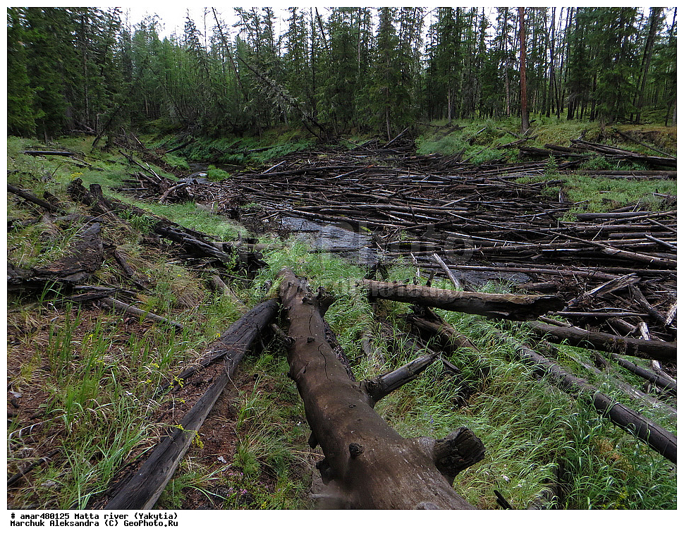 ������ ����, ����, �����, ������, ����, �����, ������, �������� ������, ������ ������, ����, ��������� � ����, ������, ������ � ������, ������ � ������, ������ � �����, �����, �������� �����, �������� �����, �������� ����, ��������� ����, ���� ����, ���� �����, ���� �����, ���� �����, �������