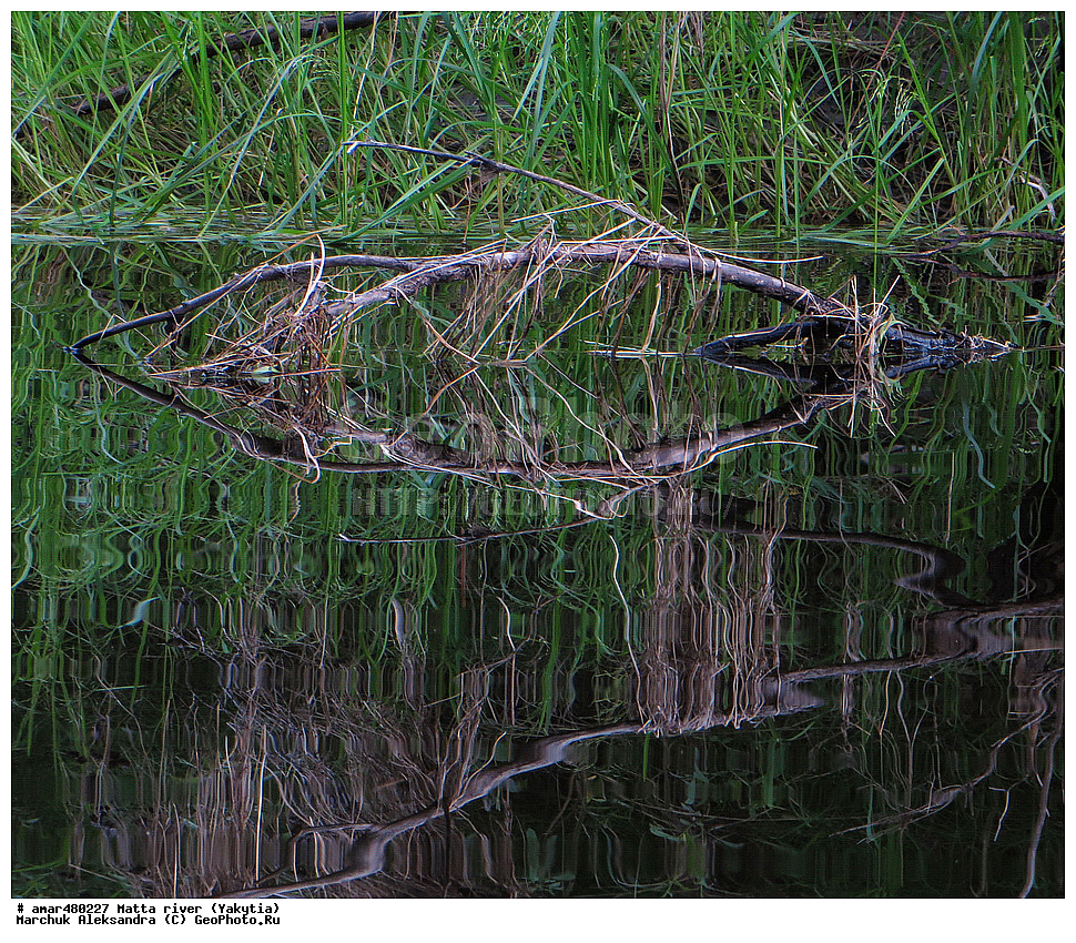 ������ ����, ����, �����, ������, ����, �����, ������, �������� ������, ������ ������, ����, ��������� � ����, ������, ������ � ������, ������ � ������, ������ � �����, �����, �������� �����, �������� �����, �������� ����, ��������� ����, ���� ����, ���� �����, ���� �����, ���� �����, �������, �����