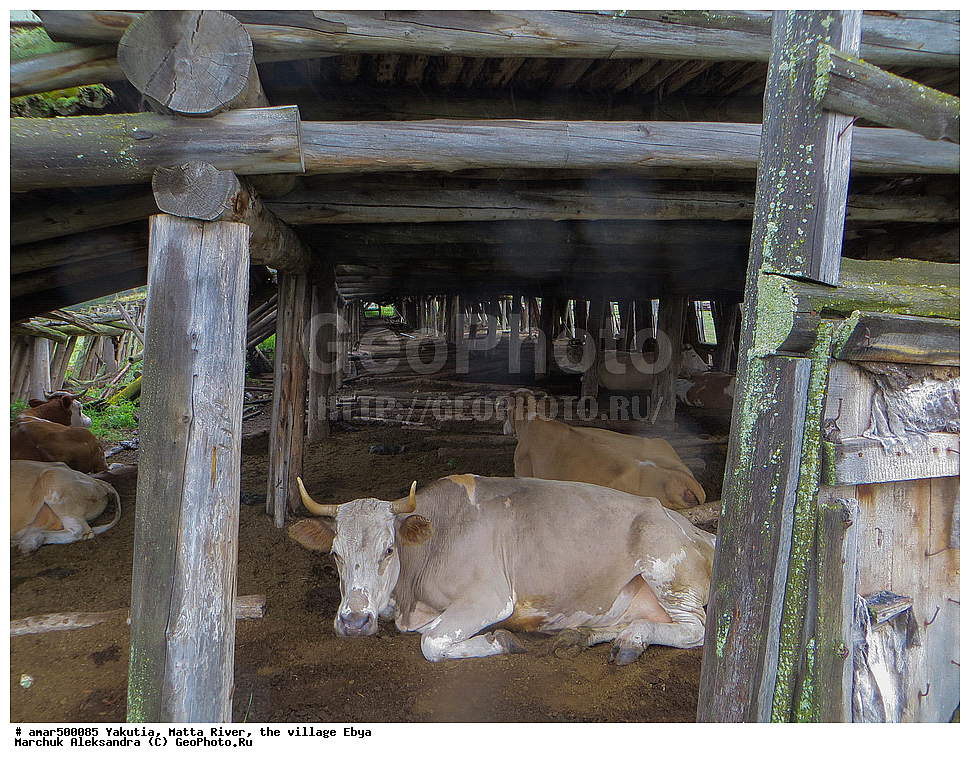 ������ ����, ����, �����, ������, �����, ���, ������, ����, ������� ���, ��������� ����, ���� ����, ���� �����, ���� �����, ���� �����