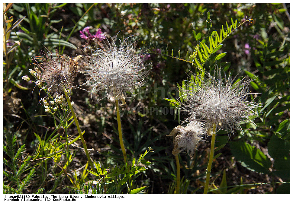 ����������� ������, ����, ������, ����, ���������, ������, ���������, �������� ������, ����, ���� ����, �����, ������ �����-���, �����