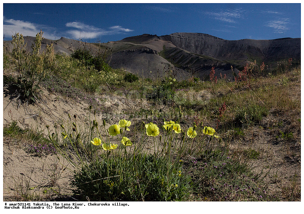 ����������� ������, ����, ������, ����, ���������, ������, ����� ����, ������������, ����, ���������� ����, ���������, ���������, ������������� ������, �������� �����������, �������� ������, ������ ������, ����, ������, ������ � �����, ������ ������������, ������� � ���������, ������� � ������, ���� ����, �������� �������, �����, �����, ��������� ������, ������ �����-���, �����, ������, �����