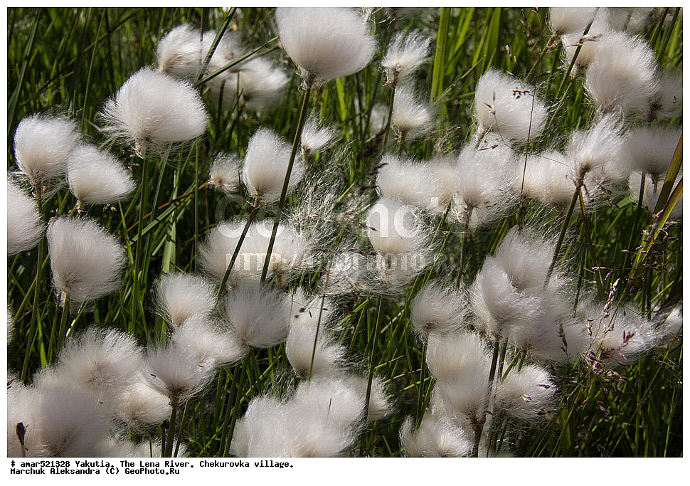 ����, ������, ����, ���������, ������, ���������, ����, ���� ����, �����, ������ �����-���, �����