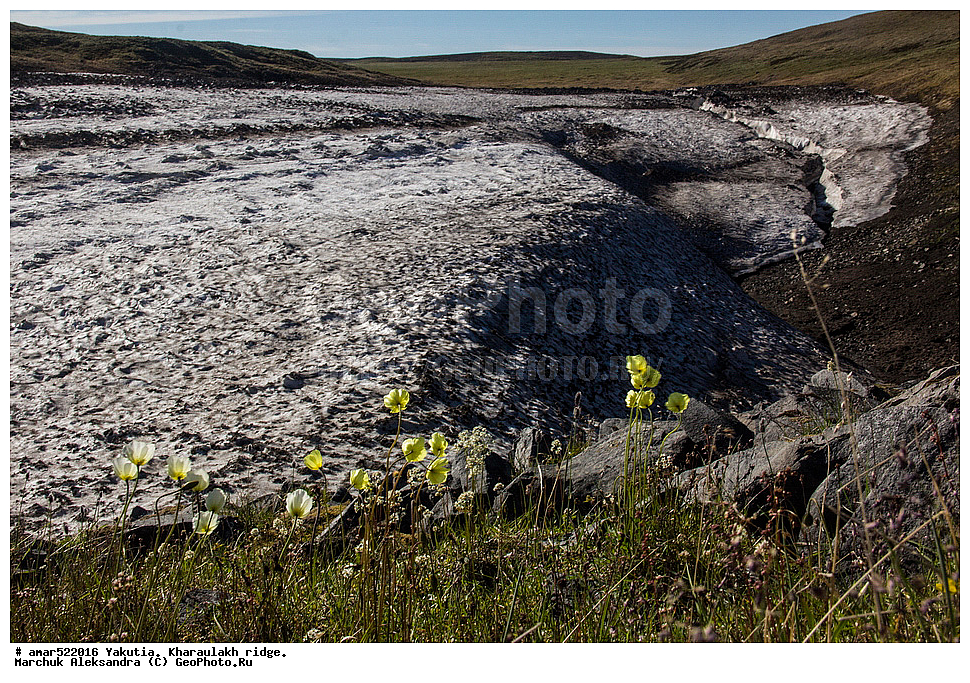 ����������� ������, ������, ����, ������������ ������, ������, ����, ������ ����, ���������, �������� ������, ������ ������, ����, ����, ������, ������, �����, �������, ��������� ������, ������