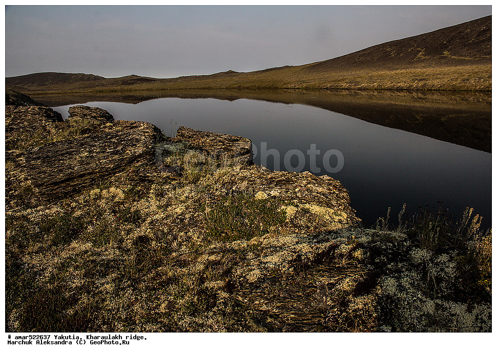 ����������� ������, ������, ����, ������������ ������, ������, ������ �����, ����, ���������, �������� ������, ������ ������, ����, �����, ����� �����, ������, �����, ��������� ������, ������