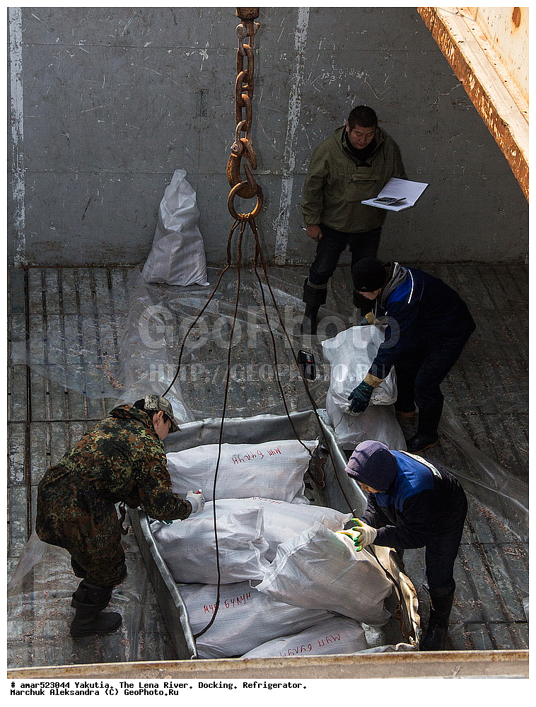 ����, ������� ������ �����������, ������� �������, ������, ����, ������, ���������, �������, �������, ����, ����� � �����, ������ � �����, �������� ����, ���� ����, ������������, ������ ���������, ����, �������, �����, ��������, ��������