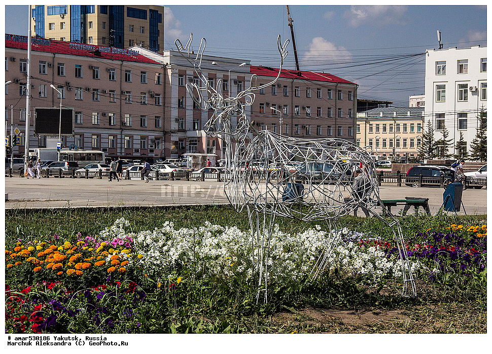 ������, ������