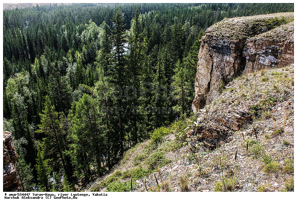 �����-���, ����, �������, ������