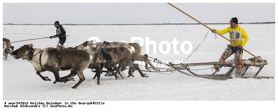  �������, ���, �������� ����, ������, �����, ����, ����� �����, �����, ����� �� ������� ��������, ����� �� ������, ������, �� �������� ����, ����, ����, ����, ������� ������, �����, ������������ ������, ������������ ��������, �������� ������, �����, ������, ���������, �����, �����, ������ �������, �������� ����, ��������, �������� ���������, �������� ������, �������� ���������, �������� �����, ����, ������������, �������, ����, �����, �������, �����, �����, �����-��������, �����-�������� ��������