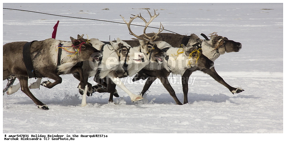  �������, ���, �������� ����, ������, �����, ����, ����� �����, �����, ����� �� ������� ��������, ����� �� ������, ������, �� �������� ����, ����, ����, ����, ������� ������, �����, ������������ ������, ������������ ��������, �������� ������, �����, ������, ���������, �����, �����, ������ �������, �������� ����, ��������, �������� ���������, �������� ������, �������� ���������, �������� �����, ����, ������������, �������, ����, �����, �������, �����, �����, �����-��������, �����-�������� ��������