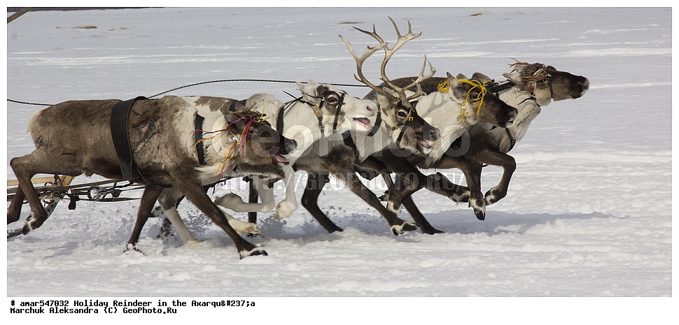  �������, ���, �������� ����, ������, �����, ����, ����� �����, �����, ����� �� ������� ��������, ����� �� ������, ������, �� �������� ����, ����, ����, ����, ������� ������, �����, ������������ ������, ������������ ��������, �������� ������, �����, ������, ���������, �����, �����, ������ �������, �������� ����, ��������, �������� ���������, �������� ������, �������� ���������, �������� �����, ����, ������������, �������, ����, �����, �������, �����, �����, �����-��������, �����-�������� ��������